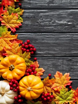 Осенние картинки. Обои для телефона. Желтые листья | Осенние картинки,  Осенние изображения, Осенние тыквы
