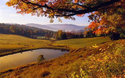 Autumn in the Mountains