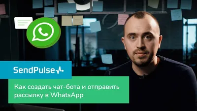 Как создать автоматизированную цепочку для WhatsApp чат-бота | SendPulse