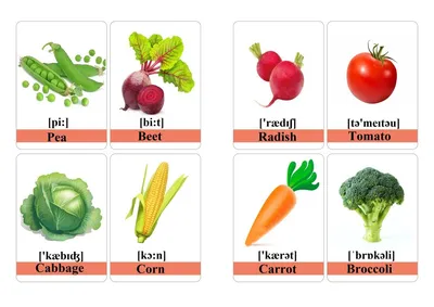 Раскраски Овощи на английском для детей (28 шт.) - скачать или распечатать  бесплатно #24933