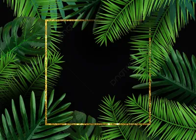 Фотообои Море пальмы купить на стену • Эко Обои