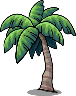 Файл:Зреющие плоды финиковой пальмы. Гагра. Абхазия.JPG — Википедия