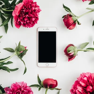 Сотовый телефон в рамке из цветов розовых пионов на белой поверхности |  Премиум Фото