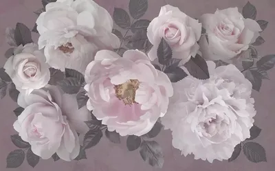 Красивый куст розовых пионов - обои на телефон