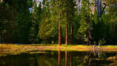 Лучшие фото (100 000+) по запросу «Обои Для Рабочего Стола» · Скачивайте  совершенно бесплатно · Стоковые фото Pexels