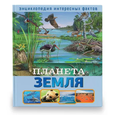 С чего начинается война, или Разговор о государственной защите