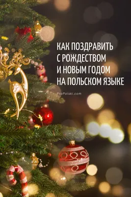 Как поздравить с Рождеством и Новым годом на польском языке | Рождество, Польский  язык, Новогодние открытки