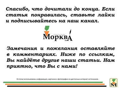 Акварель в палитре, с кисточкой, 28 цветов Две картинки 124725405 купить за  638 ₽ в интернет-магазине Wildberries