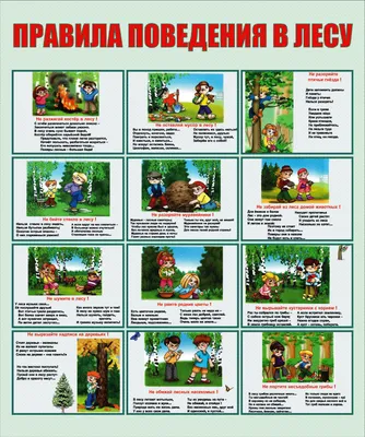 ДЕТСКАЯ ШКОЛА ИСКУССТВ\" основана 15 июля 1964 года | Новости