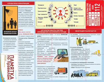 Правила поведения в лесу для детей: рекомендации «Лизы Алерт»