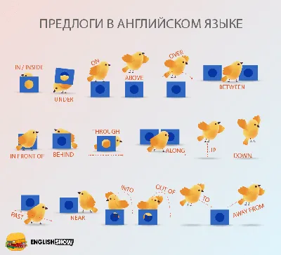 Мини-карточки Домана \"Предлоги / Prepositions\" на укр/англ. Вундеркинд с  пеленок - Карточки Домана