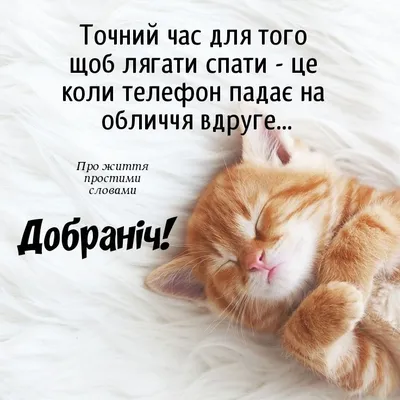 Pin by Павло Труш on Доброї ночі | Foreign language learning, Humor, Quotes