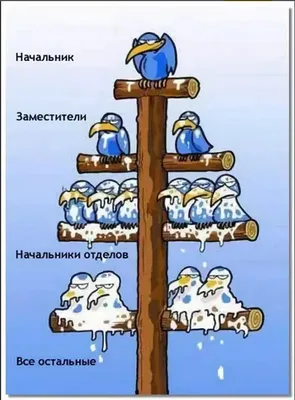 25 цитат Будды, которые перевернут сознание и точно изменят вашу жизнь -  Чемпионат