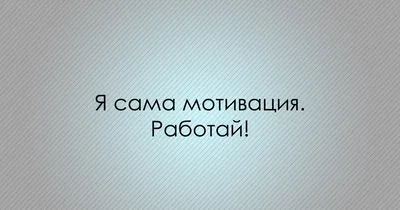 Обои белки, шишки, снег, прикольные картинки на рабочий стол, фото скачать  бесплатно