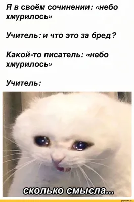 Я в своём сочинении: хмурилось» Учитель: и что это за бред? Какой-то  писатель: «небо хмурилось» / Приколы для даунов :: двойные стандарты ::  разное / картинки, гифки, прикольные комиксы, интересные статьи по теме.