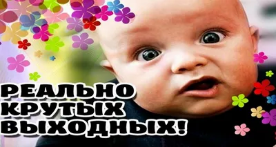 Пост алкогольного юмора на выходные зависимость | Mixnews