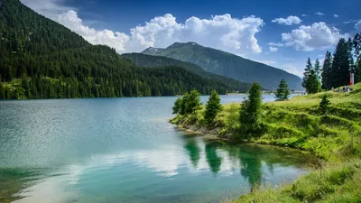 Обои природа, озеро, горы, лес картинки на рабочий стол, фото скачать  бесплатно