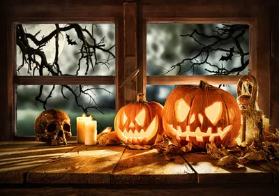 Как украсить комнату на Хэллоуин своими руками: простые, но страшно  красивые идеи декора от интернет-магазина Eli.ru