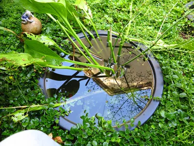 Магия Воды. Челябинск. Пруд на даче своими руками. Пруд в саду. Пруд для  дачи. Пруды пластиковые купить в Челябинске