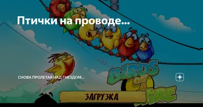 Приложения в Google Play – Птички на Проводе