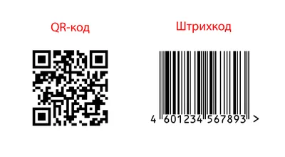 PHP пример генерации QR кода со ссылкой на сайт