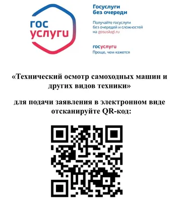 Неофициально переболевшие коронавирусом нижегородцы смогут получить QR-код  | Информационное агентство «Время Н»