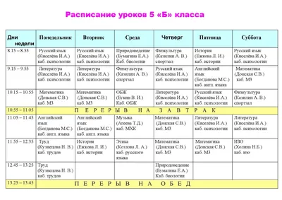 Расписание уроков для начальных классов | МОУ Шурскольская СОШ