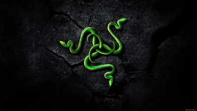 Обои Компьютеры RAZER, обои для рабочего стола, фотографии компьютеры, razer,  логотип, фон Обои для рабочего стола, скачать обои картинки заставки на рабочий  стол.