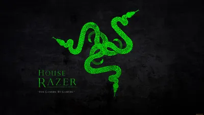 Razer обои для рабочего стола, картинки и фото - RabStol.net