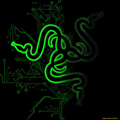 Asus Razer' Glowing Logo 4K wallpaper download