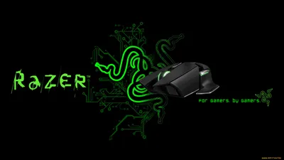 Razer - Просмотреть, изменить размер и скачать HD обои / oboi7.com