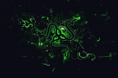 Живые обои Razer-Wallpaper [Set to 40 FPS] - Wallpaper Engine