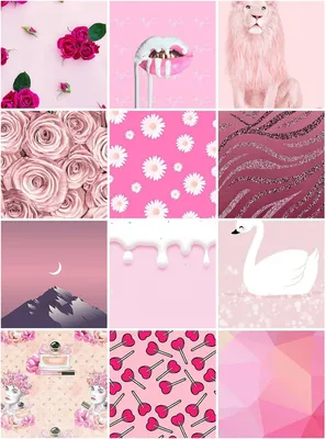 Розовые цветы обои для Андроид Full HD, лучшие 1080x1920 заставки на телефон  | Akspic