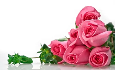 Ткань муслин розовые розы на белом фоне. Купить муслин с рисунком с  доставкой по РФ. Цена за метр, фото, наличии и под заказ.