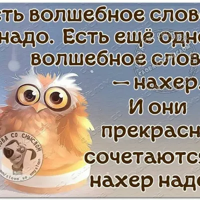 Прикольные картинки открытки спокойной ночи (36 фото) » Уникальные и  креативные картинки для различных целей - Pohod.club