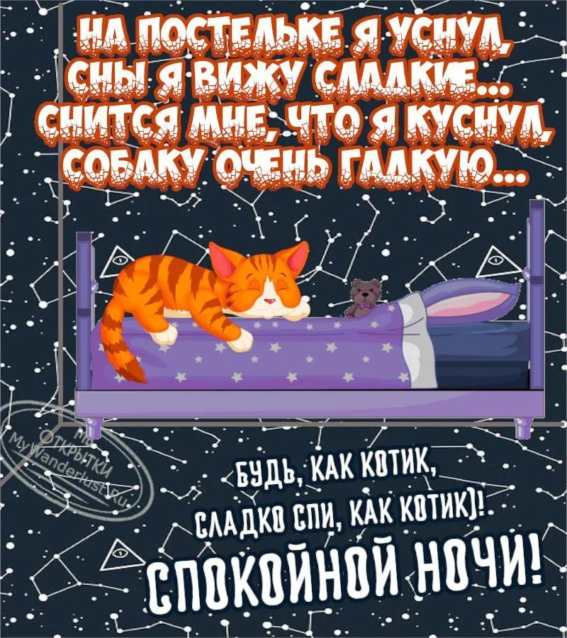 Прикольные пожелания спокойной ночи