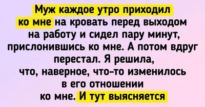 Примерно так я выгляжу каждое утро в будний день перед выходом на работу |  Пикабу