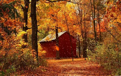 Золотая осень, домик, листопад обои для рабочего стола, картинки, фото,  1920x1200.
