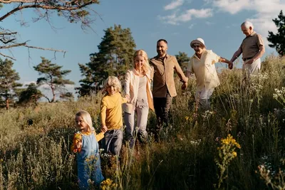счастливая семья гуляет на природе, растение, искусство, солнце фон  картинки и Фото для бесплатной загрузки