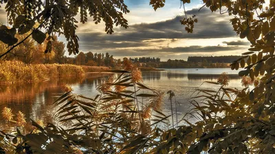 Впечатляющие фото Сергея Епишева в профессиональной съемке