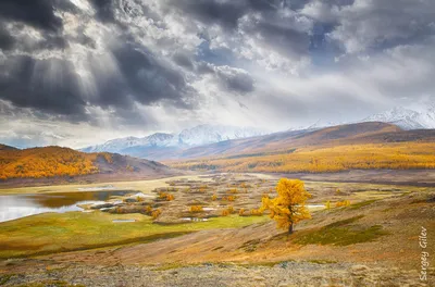 Фотография Сергея Гилева: лучшие снимки