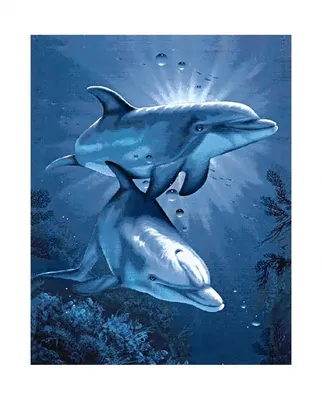 Цифра дня: сколько дельфинов были убиты на Фарерских острова во время  массовой охоты - Locals