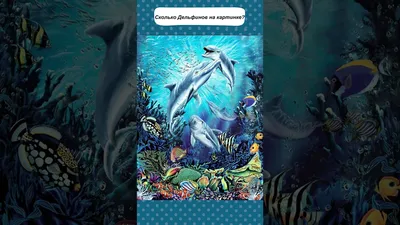 Табличка с изображением дельфинов, моллюсков, приветствуются подарки на  заказ, табличка для улицы и помещений | AliExpress