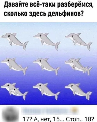 Zaple - Сколько дельфинов вы здесь видите? 🐬 | Facebook