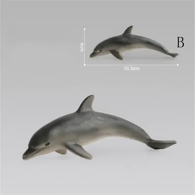 Разум в глубокой воде: почему дельфинов считают умными