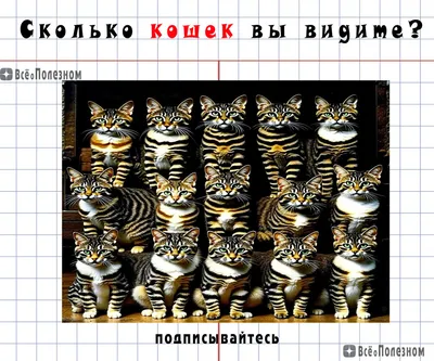 Сколько Кошек на картинке вы сможете найти? Я нашел только 14 | Всё о  Полезном | Дзен