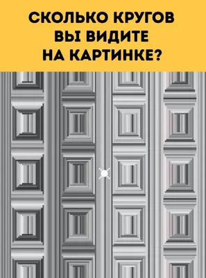 Тест: сколько кругов и овалов на картинке? 98% людей отвечают неправильно |  Вокруг Света