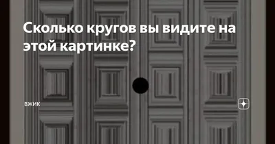 Головоломка для людей с высоким IQ - сколько кругов на картинке