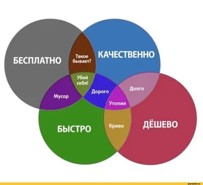 Набор Сегментов Круга. Различное Количество Секторов Делит Круг На Равные  Части. От 2 До 10. Черная Тонкая Контурная Графика. Фотография, картинки,  изображения и сток-фотография без роялти. Image 68873226