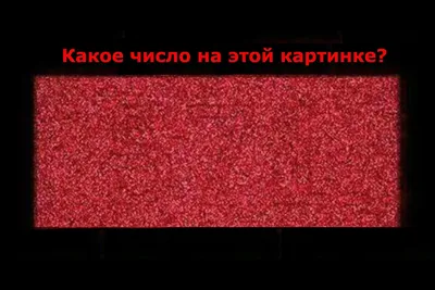 Сколько квадратов вы видите на картинке » Прикольные картинки: скачать  бесплатно на рабочий стол